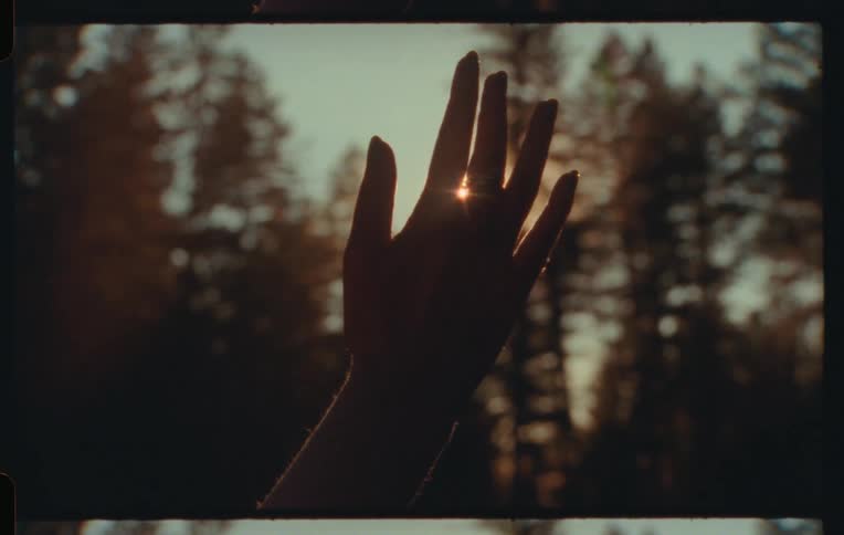 A woman holds her hand up to the sunlight in an evergreen forest