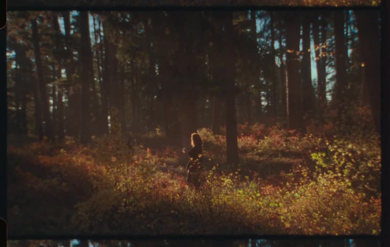 Woman in a forest taking pictures with a camera