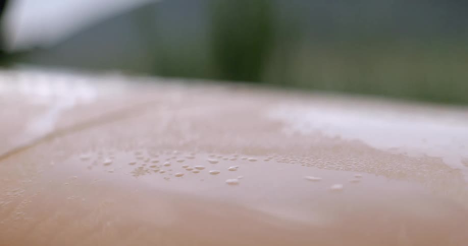 The surface is covered with water drops