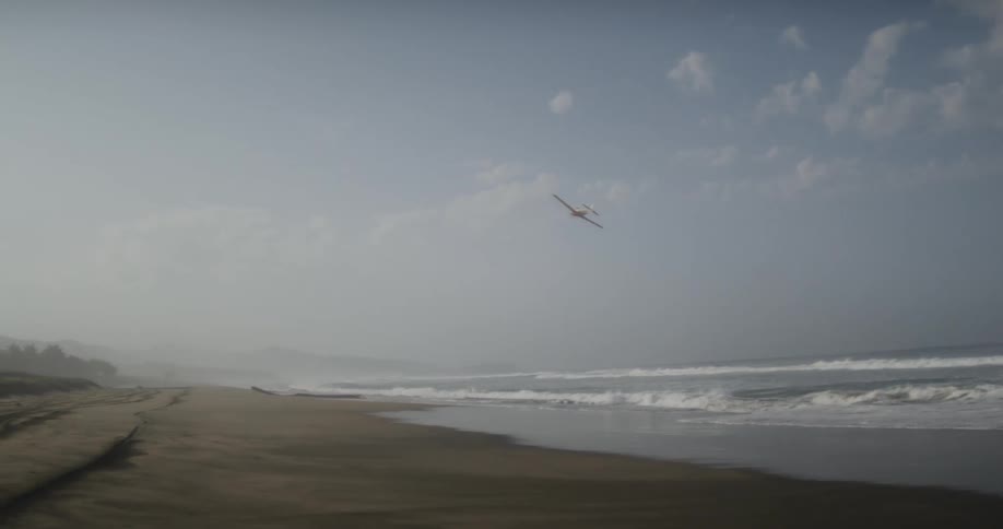 A clip of a plane flying close to the beach