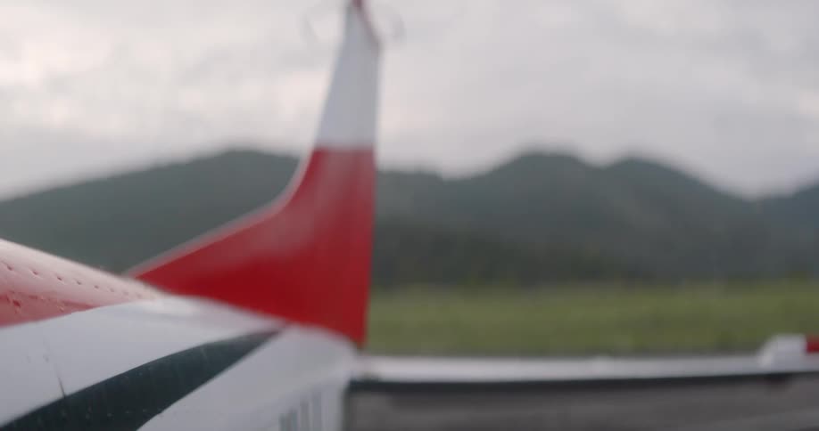 A closeup view of an airplanes tail with a blurred natural backdrop