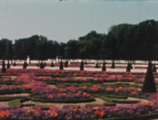 People are strolling the park filled with flowers in summer
