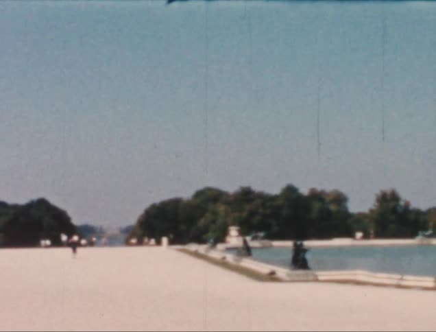 A footage of people at the park