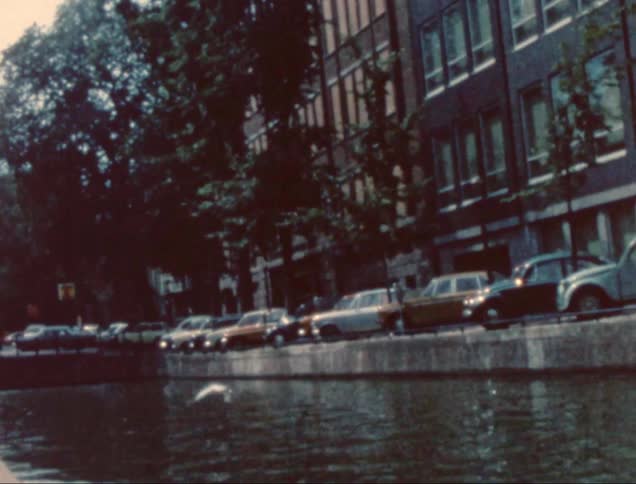 A bird flies by the window over the canal