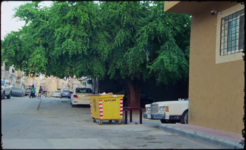 City street with parked cars and a tree in the background