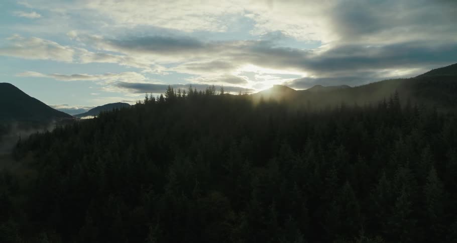 Aerial panorama of a mountain valley with conifers and the sun on the horizon