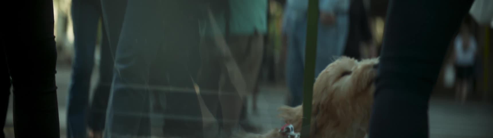 Still image of a dog and a crowd of people on a sidewalk in a city