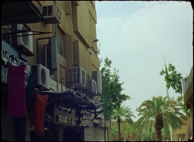 A bird perches on a ledge of a building
