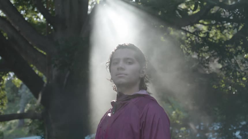 Man in a windbreaker standing under a very large tree with sunlight shining directly at him