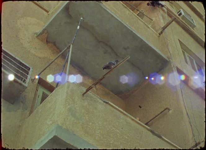 A pigeon perches on a balcony railing of a weathered apartment building