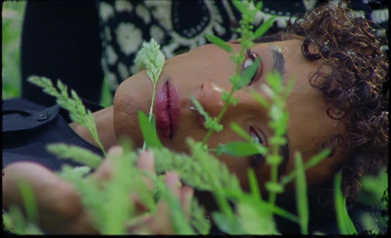 A person is touching the plants near his face