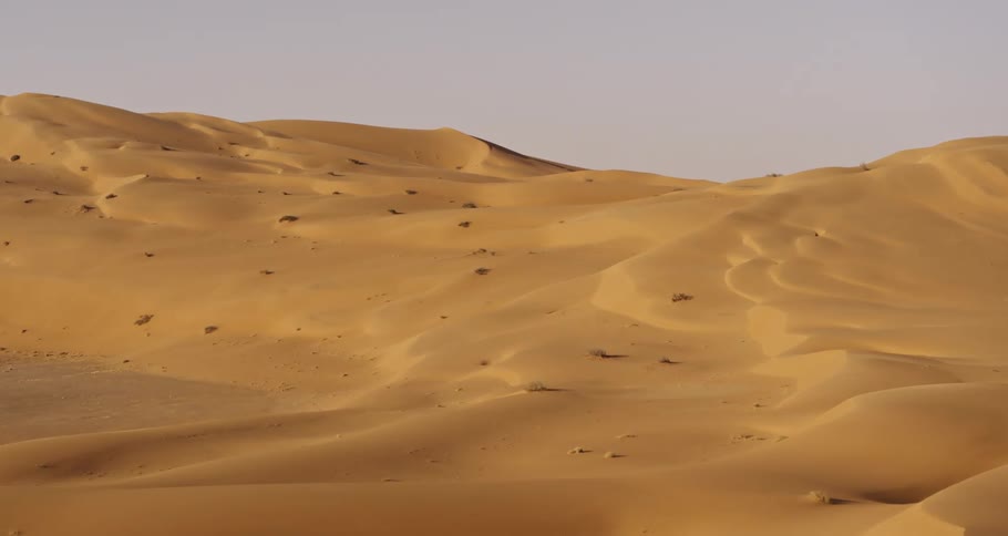 The golden sandy hills of an endless desert in the Middle East