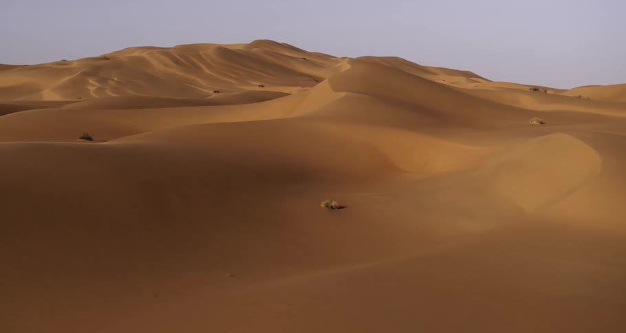 A vast expanse of golden sand dunes stretching towards the horizon under a clear blue sky