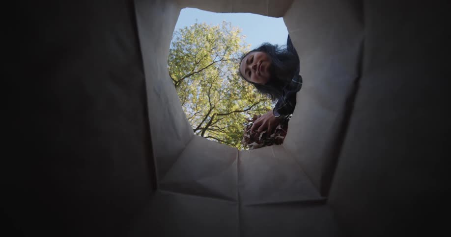Woman putting dry leaves into a cardboard bag