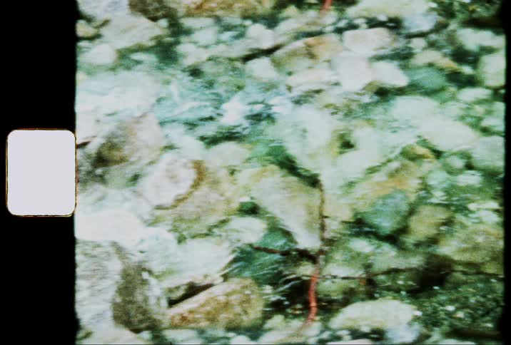 Water rushes down a rocky river