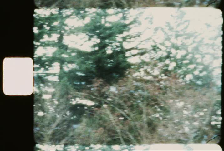 A scenic view of a snowcapped mountain range partially obscured by clouds with a lake and evergreen trees in the foreground