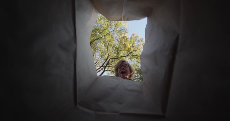 From inside a paper bag a person drops leaves in