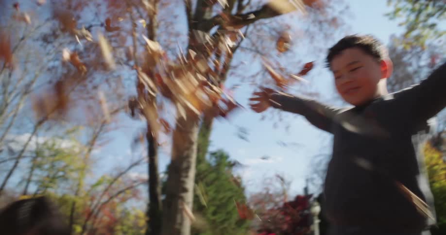 A clip of children playing with leaves