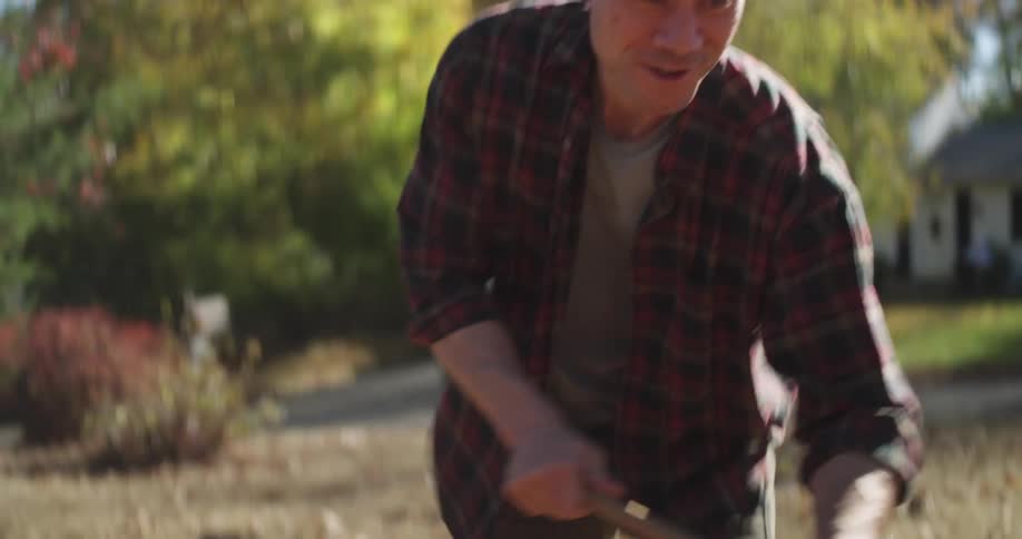 A man is racking brown leaves on a dry patchy lawn