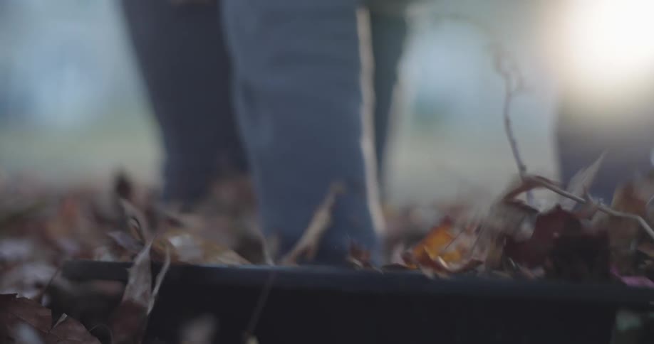 Human hands placing several dried leaves into a black container
