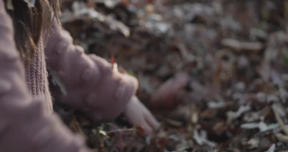 A hand wearing a brown sweater is playing with a pile of colorful autumn leaves