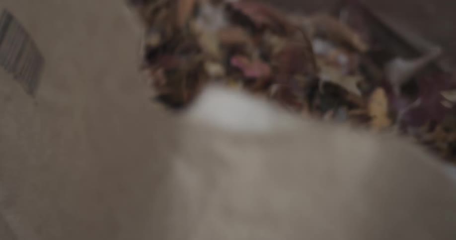 A woman putting many dry leaves into a paper bag