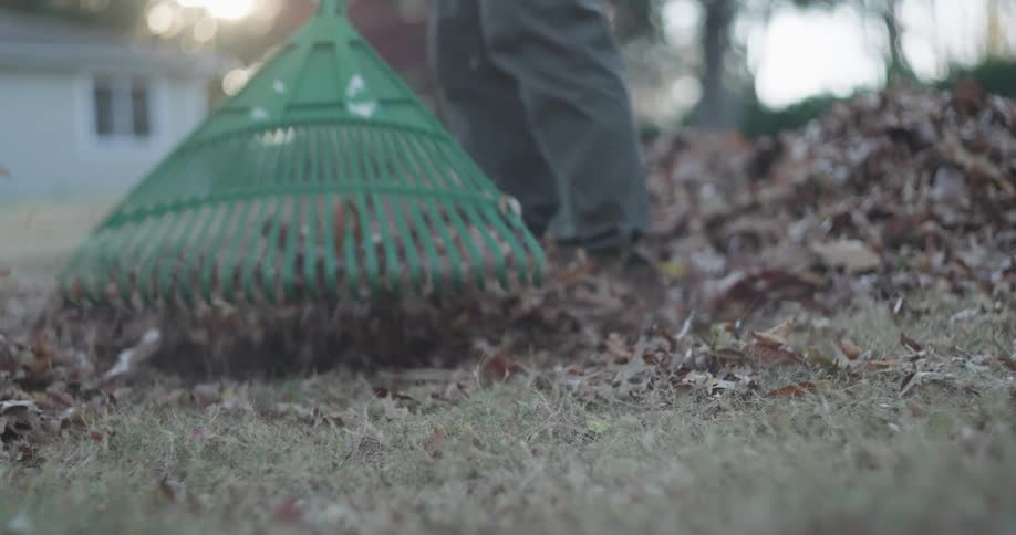 Legs of a person clearing a yard of dry leaves