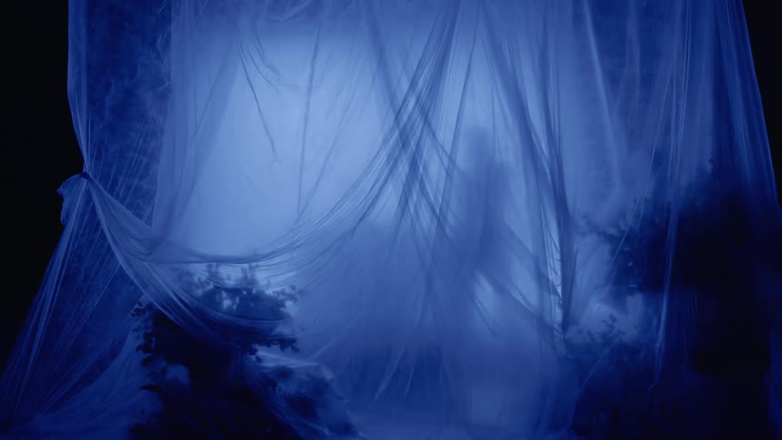 A woman is performing on a stage behind a curtain at night