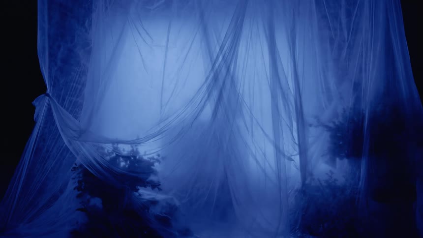 A shadowy figure is obscured by a translucent bluetinted veil creating an ethereal and mysterious atmosphere