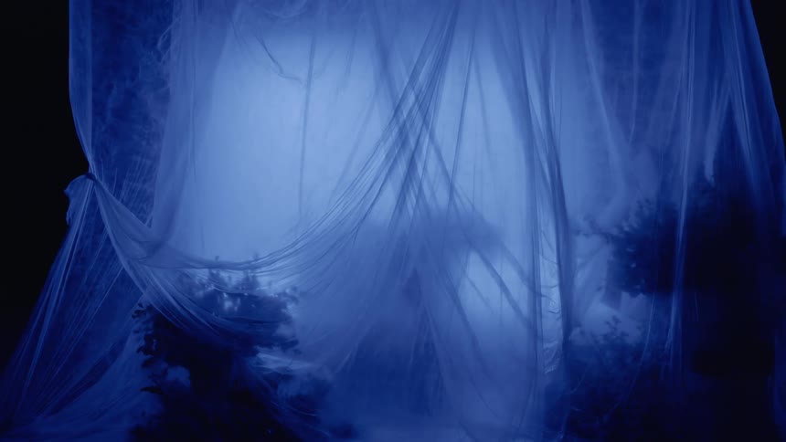 Scene with a curtain and flowers in a dark space and the silhouette of a person walking in the background