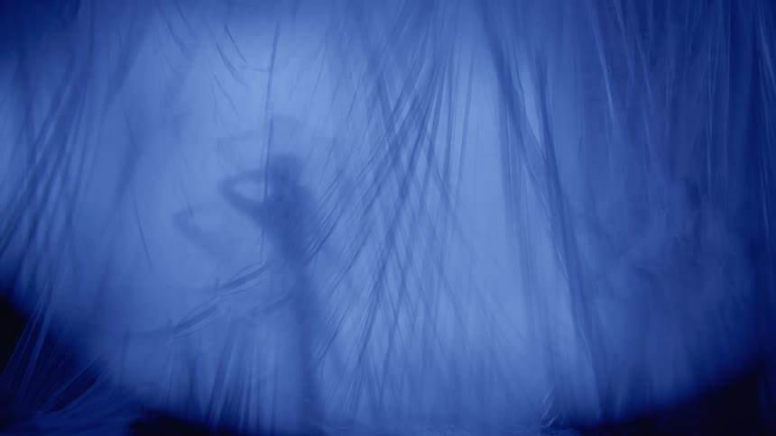 A woman dances gracefully her silhouette obscured by a translucent bluetinted veil creating an ethereal and mysterious atmosphere