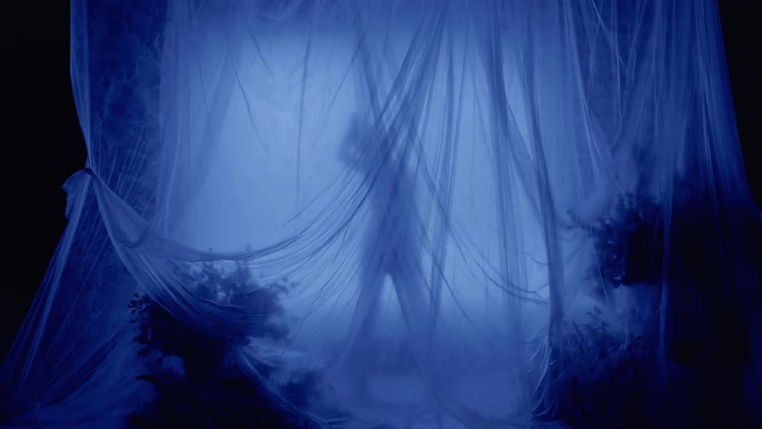 A clip of a dancer behind curtains