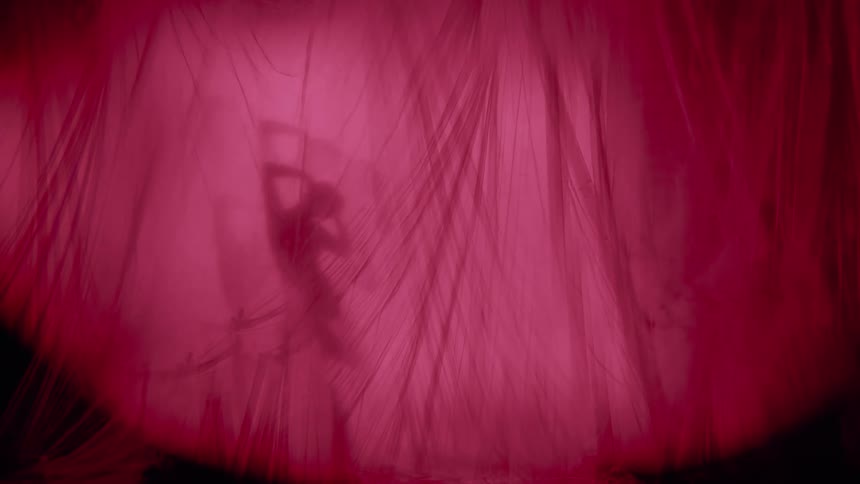 Woman dancing behind a pink curtain