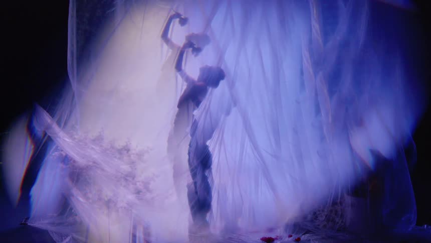 A dancer is silhouetted against a translucent ethereal backdrop creating a dreamlike and mysterious atmosphere