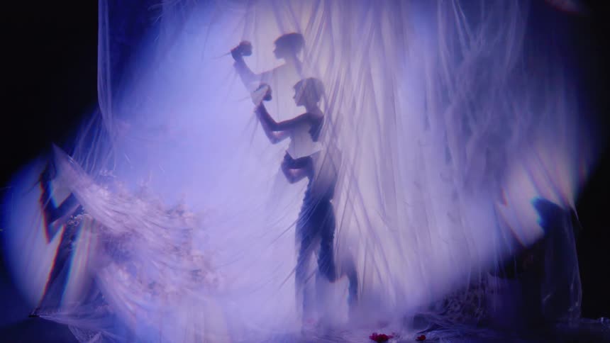 A clip of a lady performing a show