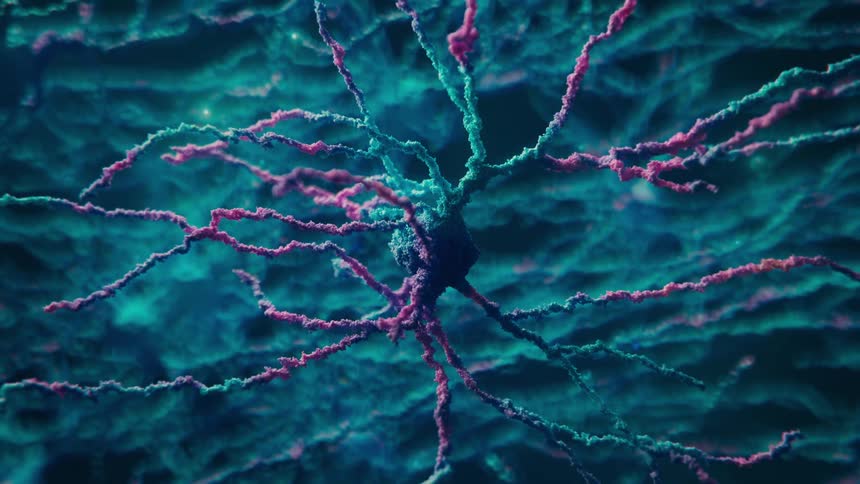 Synapse pulses firing from a blue neuron Cell with abstract axon branches