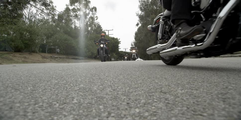 Several people ride motorcycles on a tree lined street