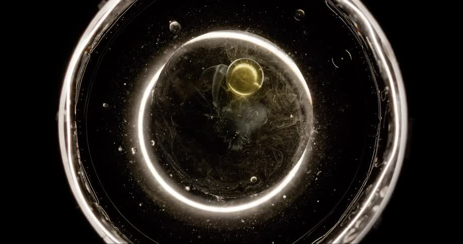 A clip of an abstract oval effect