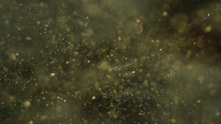 A clip of shinning substances