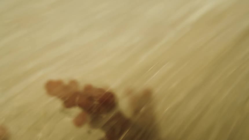 A clip of a torrential flow