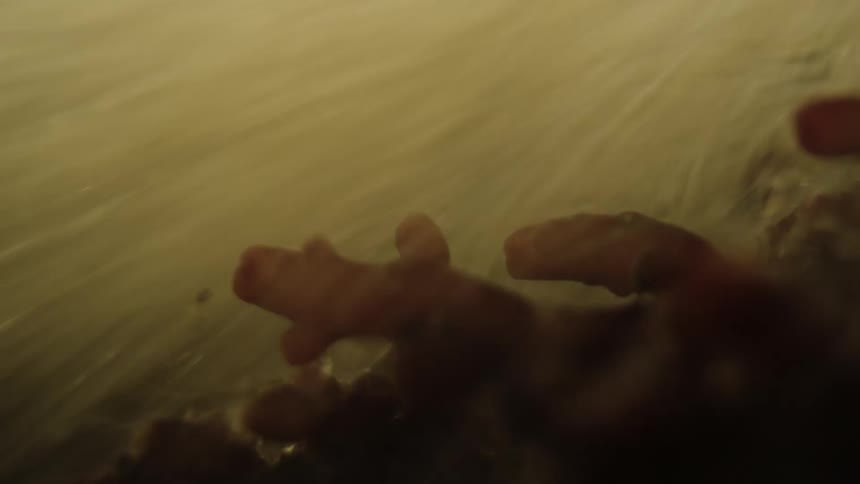 Water flowing at high speed through aquatic plants