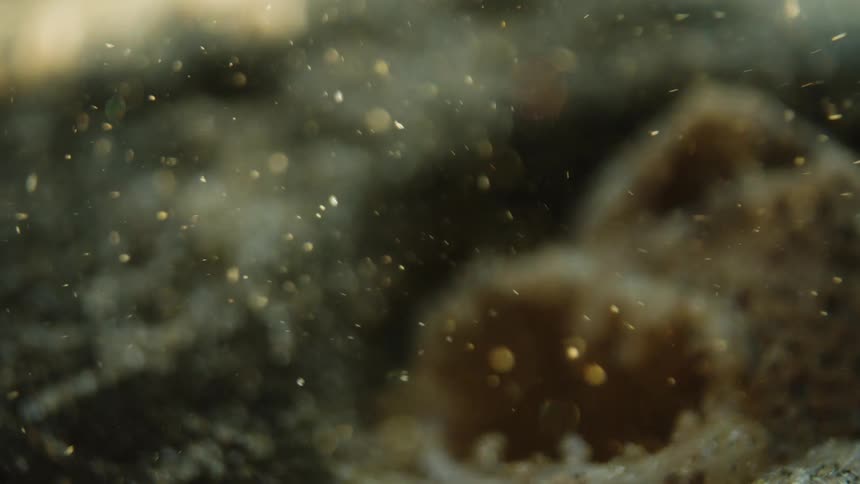 Underwater mineral salts in motion