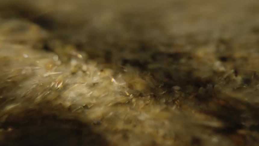 A close up clip of sea sand