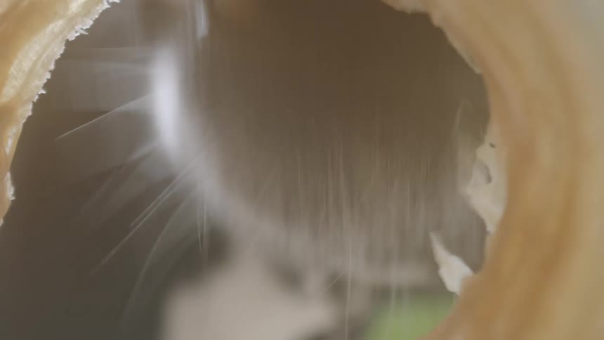 Close up of a slimy cylinder and a dog licking it