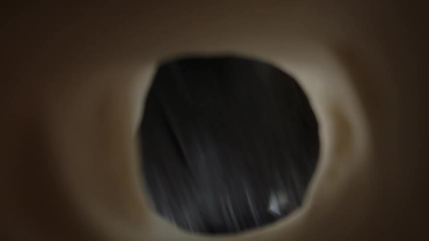 Dog looks into an opening and tries to bite the area around the hole