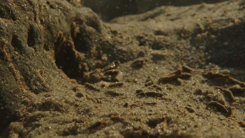 Underwater minerals falling on a sand