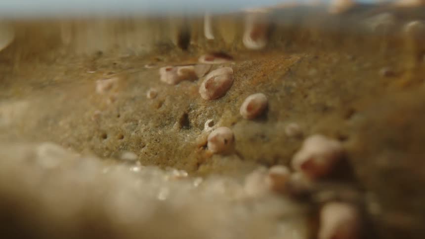 Close up underwater flowing with sand
