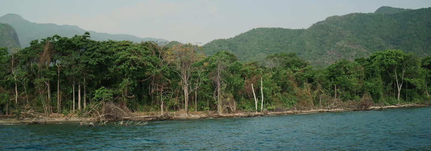 View from water of rugged shoreline in the jungle