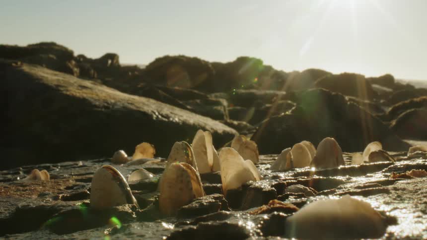 Stones and crystals on wet sand with rocks in the background