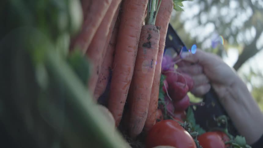 A persons arm is holding a basket of vegetables and transporting it somewhere